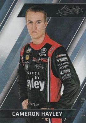 2017 Absolute NASCAR #70 Spectrum Silver /299