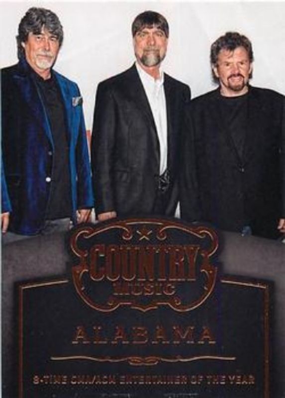 2014 Panini Country Music #4 Award Winners