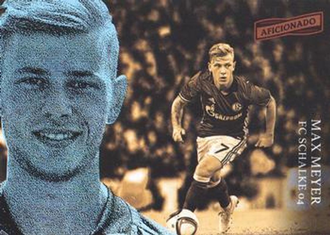 2016 Aficionado #95 Base