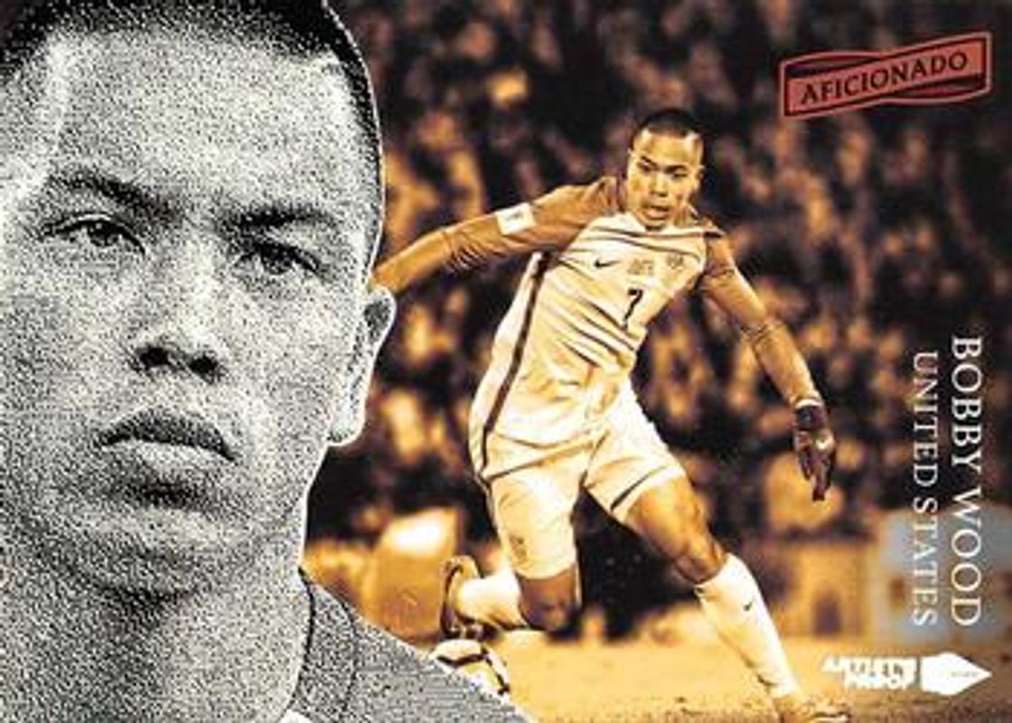 2016 Aficionado #116 Artist's Proof