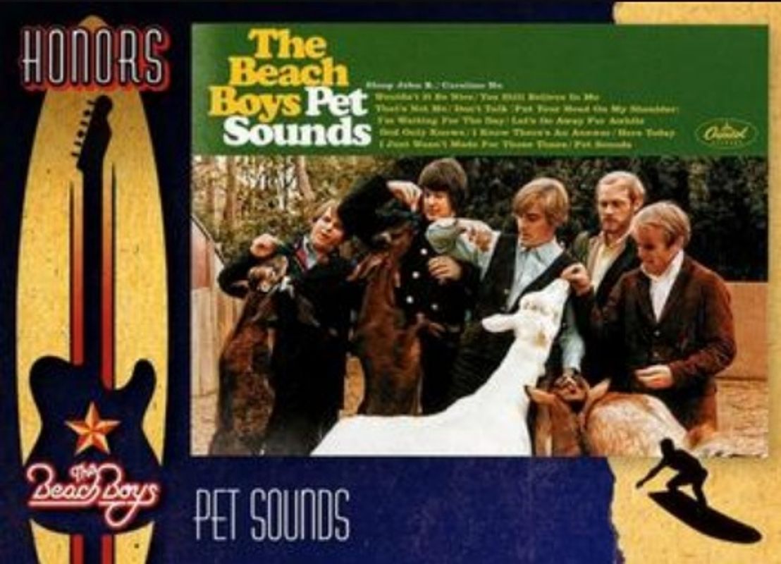 2013 Panini The Beach Boys #12 Honors - Surfer