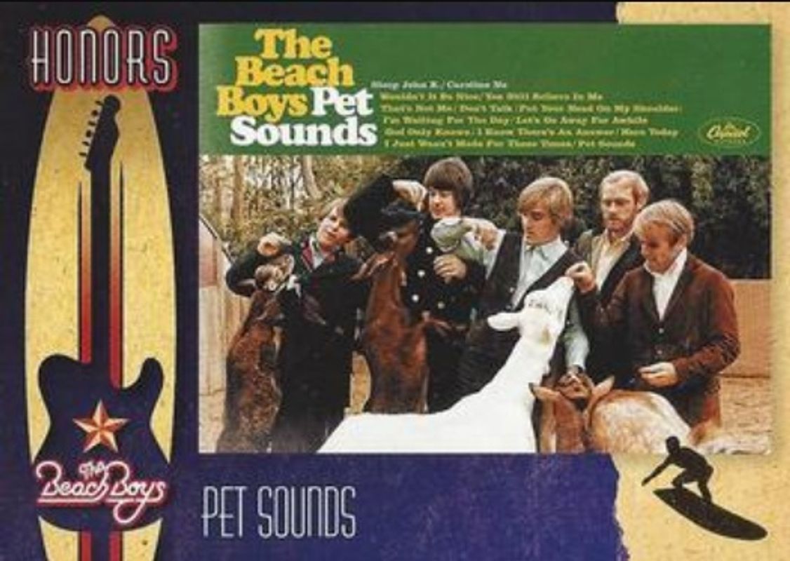 2013 Panini The Beach Boys #6 Honors - Surfer