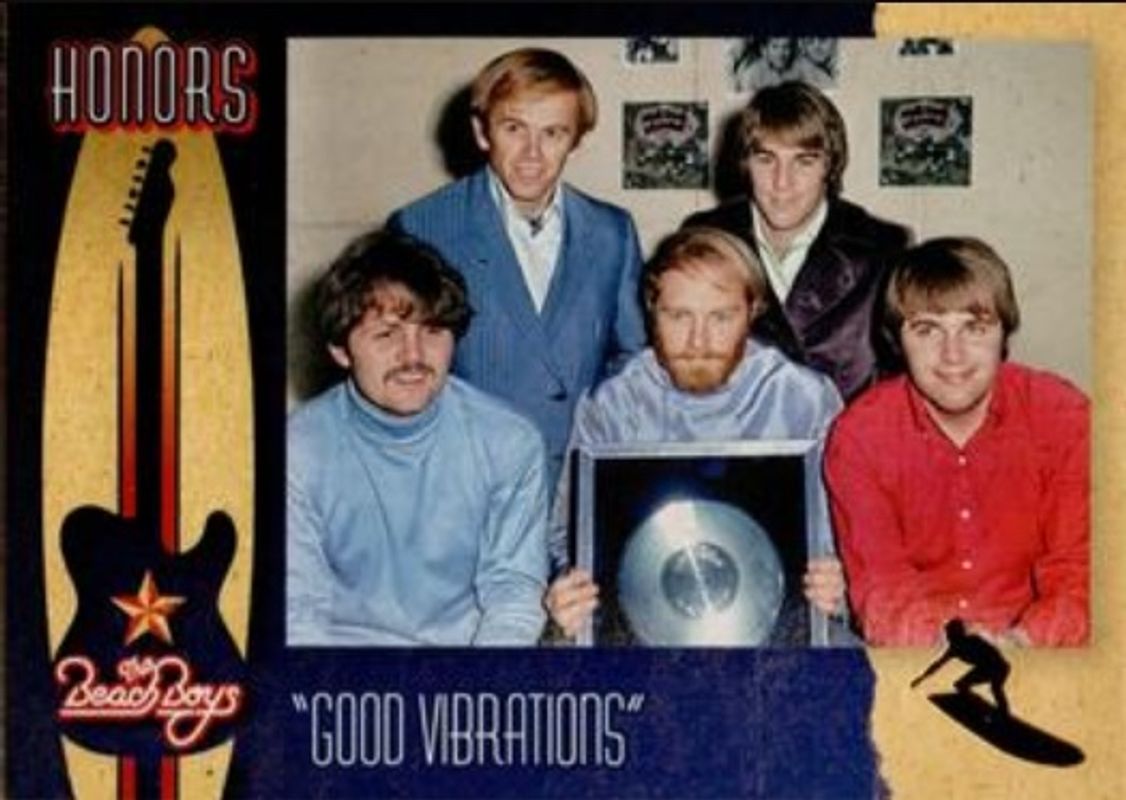 2013 Panini The Beach Boys #13 Honors - Surfer