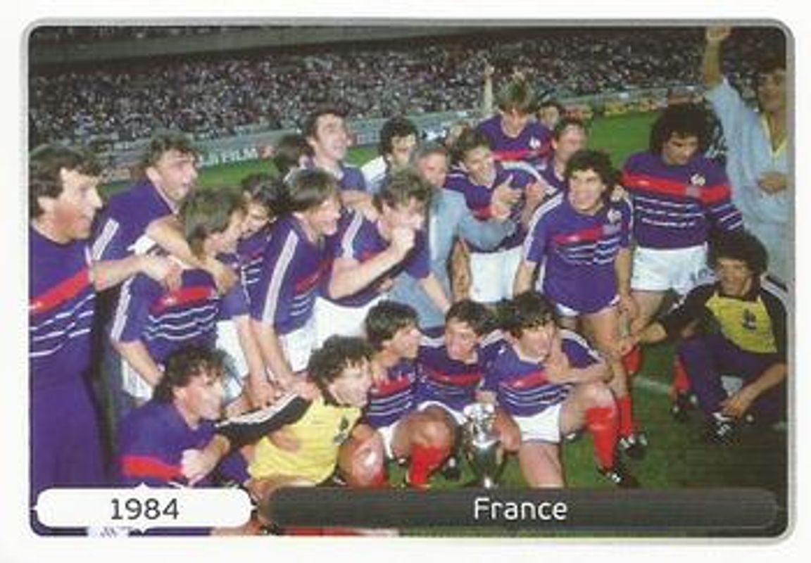 2012 UEFA Euro Stickers #526 German