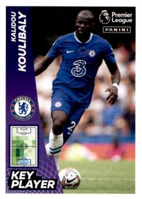 2023 Panini Premier League Stickers #196 Base