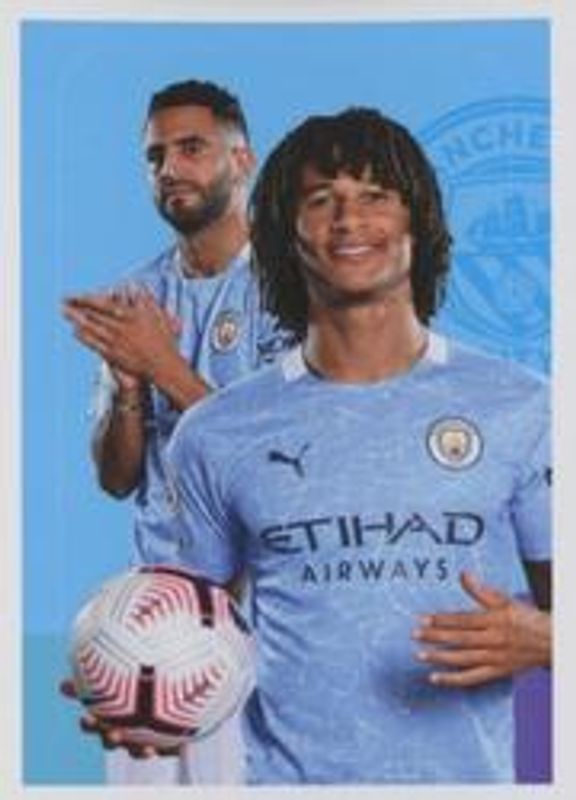 2020 Panini Premier League Stickers #14 Base