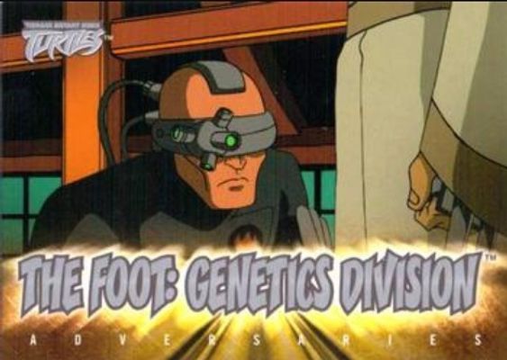 2003 Fleer Teenage Mutant Ninja Turtles #66 Base