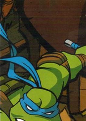 2003 Fleer Teenage Mutant Ninja Turtles #113 Base