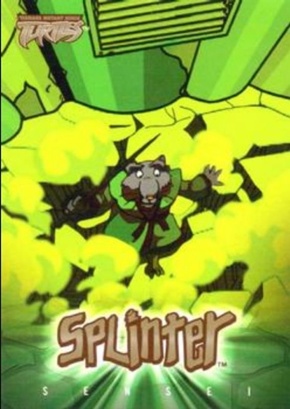 2003 Fleer Teenage Mutant Ninja Turtles #10 Gold