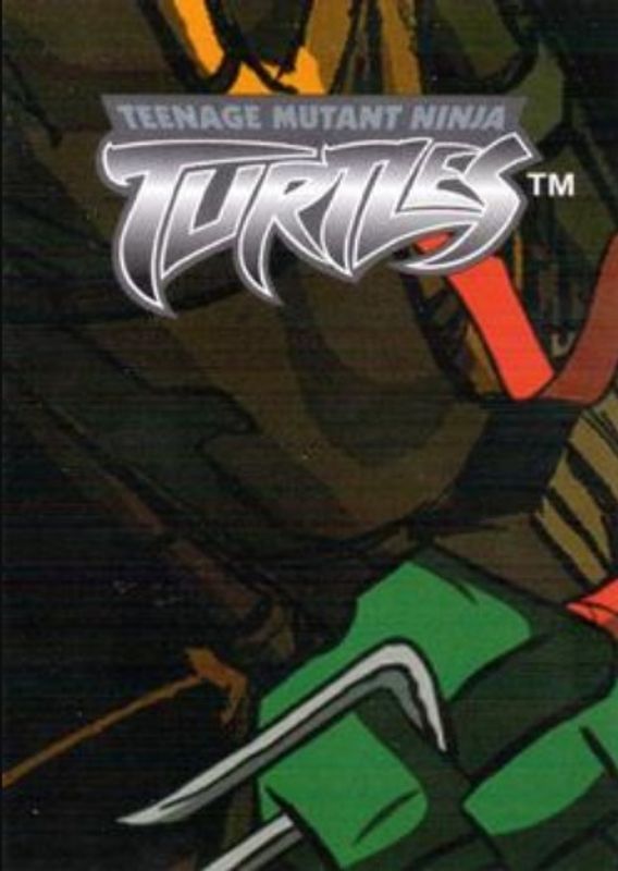 2003 Fleer Teenage Mutant Ninja Turtles #96 Base