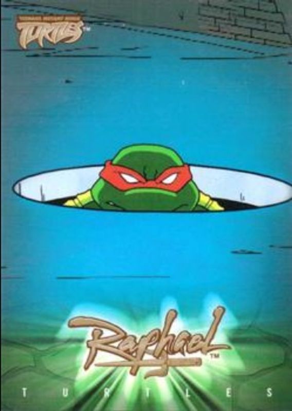 2003 Fleer Teenage Mutant Ninja Turtles #34 Gold