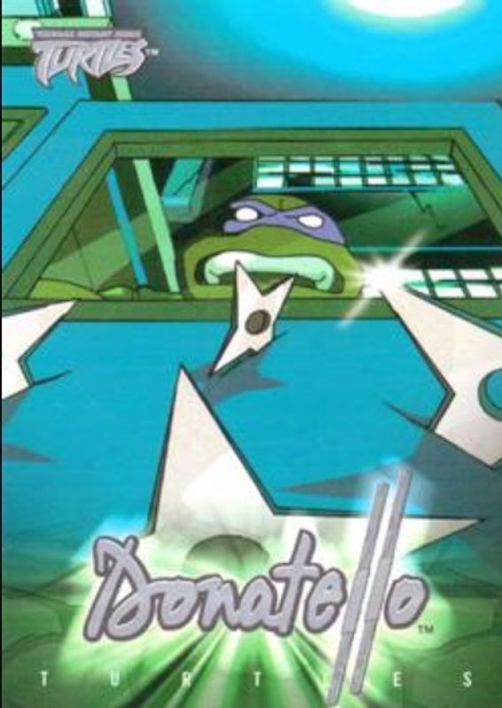 2003 Fleer Teenage Mutant Ninja Turtles #19 Base