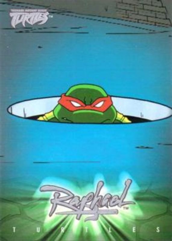 2003 Fleer Teenage Mutant Ninja Turtles #34 Base