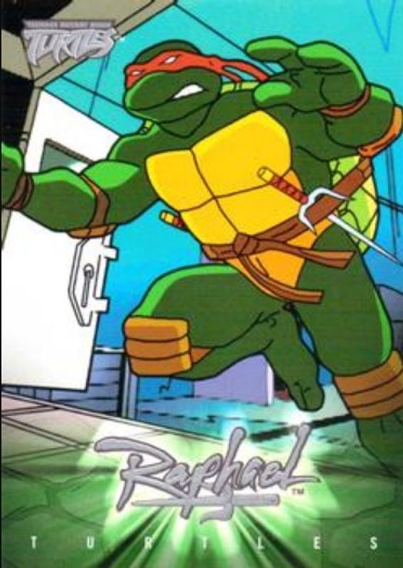 2003 Fleer Teenage Mutant Ninja Turtles #27 Base
