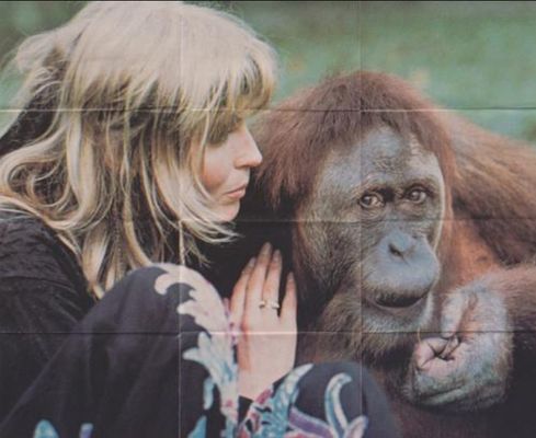 1981 Fleer Here's Bo! #2 Posters