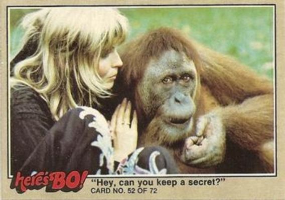 1981 Fleer Here's Bo! #52a Base