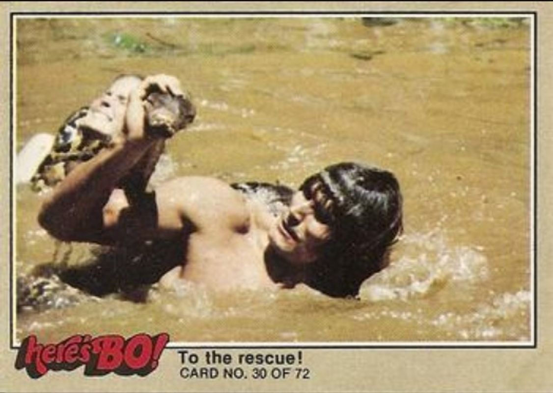 1981 Fleer Here's Bo! #30b Base