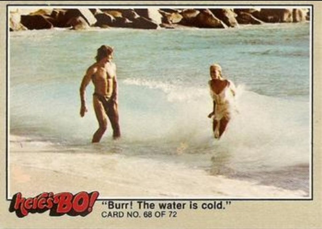 1981 Fleer Here's Bo! #68c Base