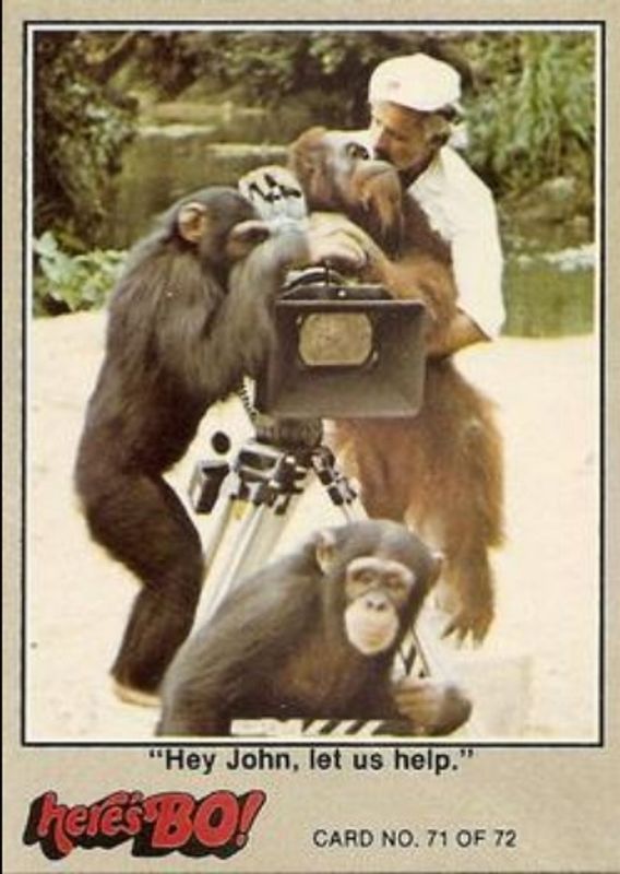 1981 Fleer Here's Bo! #71a Base