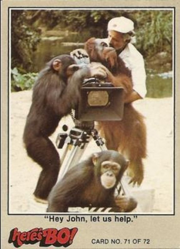 1981 Fleer Here's Bo! #71c Base