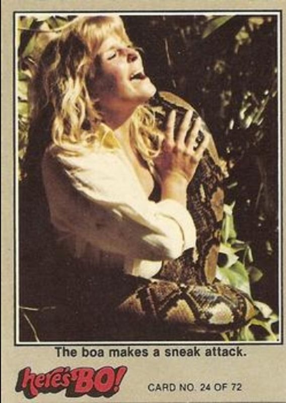 1981 Fleer Here's Bo! #24d Base