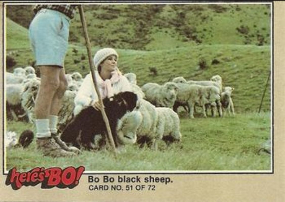 1981 Fleer Here's Bo! #51a Base