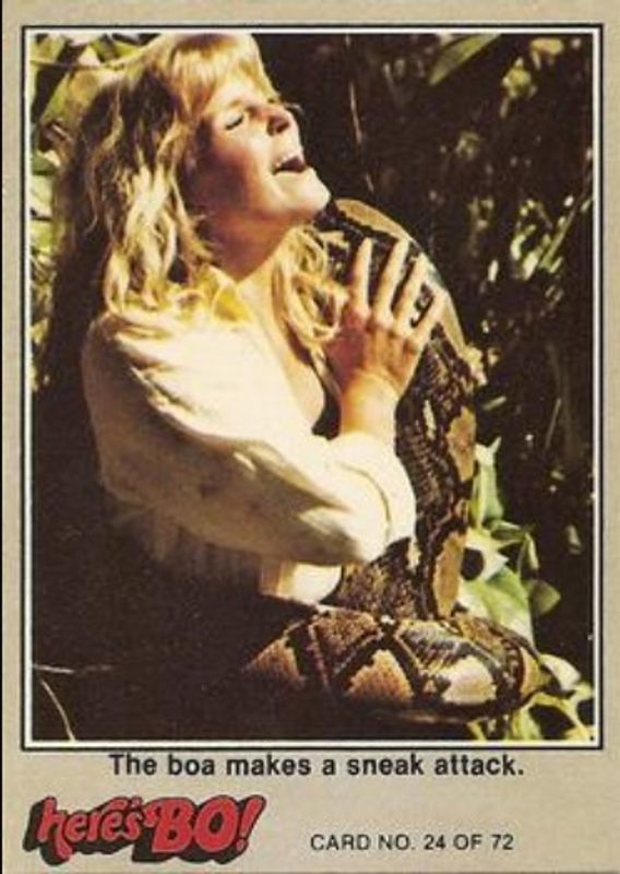 1981 Fleer Here's Bo! #24c Base