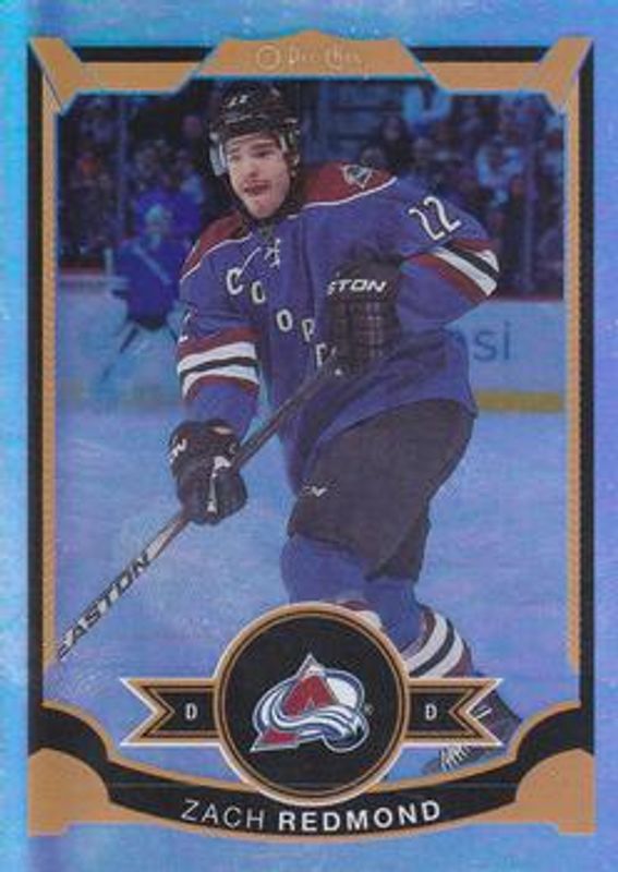 2015 O-Pee-Chee #206 Rainbow