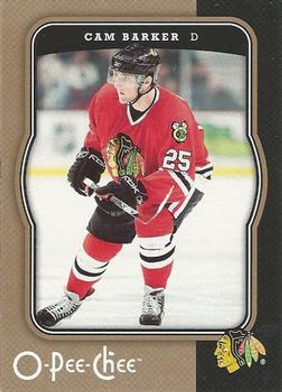 2007 O-Pee-Chee #113 Base