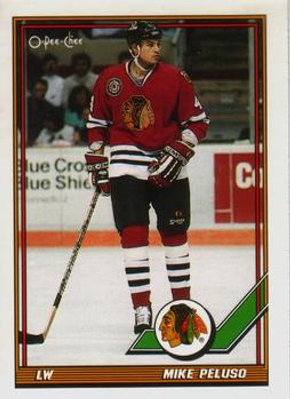 1991 O-Pee-Chee #293 Base