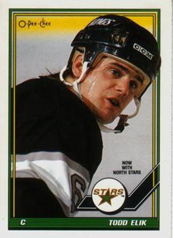 1991 O-Pee-Chee #251 Base