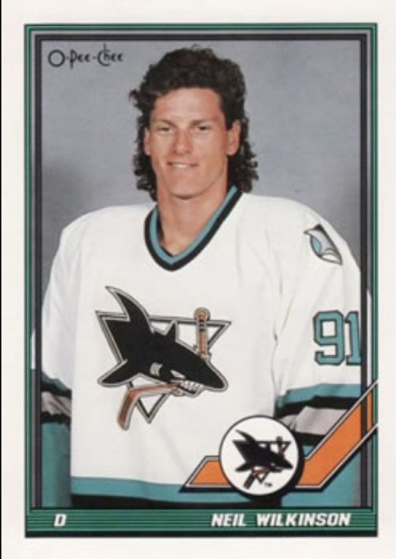 1991 O-Pee-Chee #348 Base