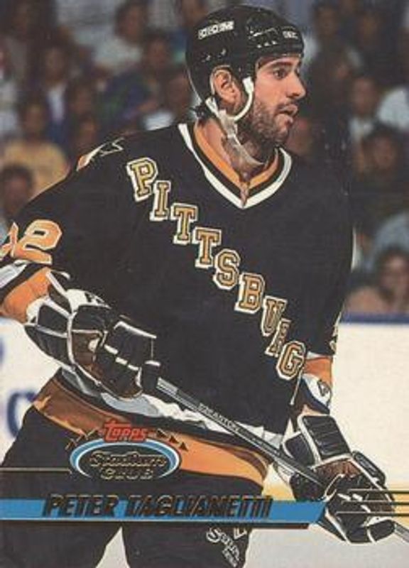 1993 O-Pee-Chee #243 Base