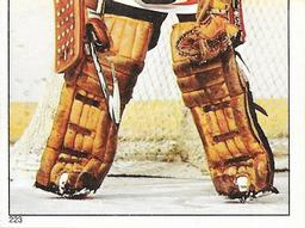 1983 O-Pee-Chee Stickers #223 Base
