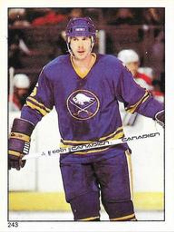 1983 O-Pee-Chee Stickers #243 Base