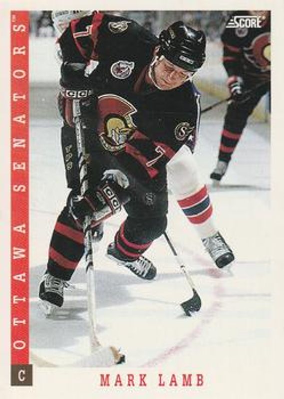 1993 Score Canadian #407 Base