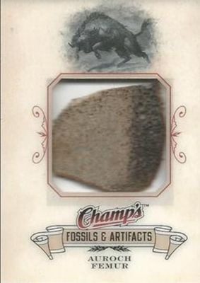2008 Upper Deck Champ's #FA-AU Fossils & Artifacts