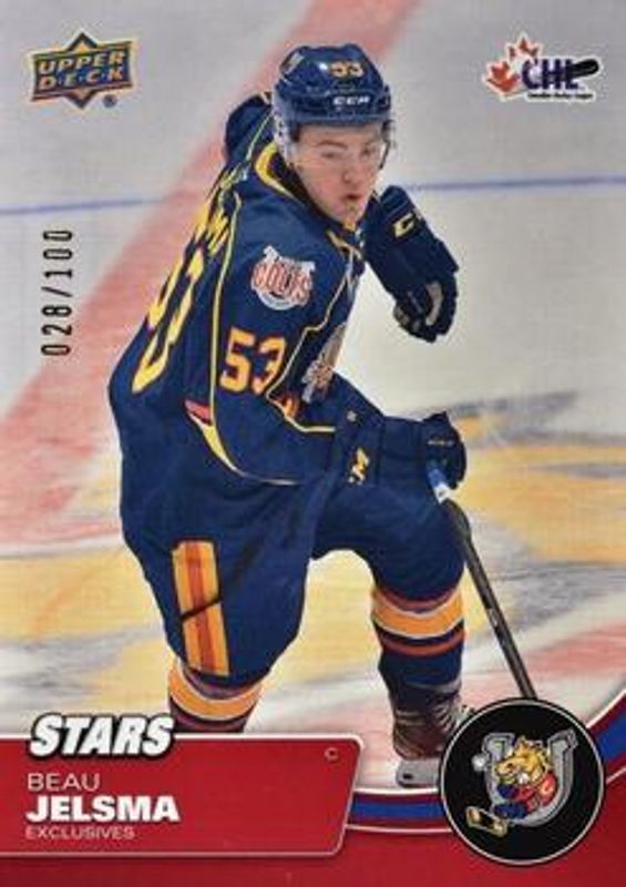2021 Upper Deck CHL #312 Exclusives /100