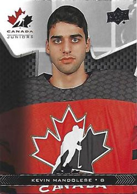 2018 Upper Deck Team Canada Juniors #30 Base
