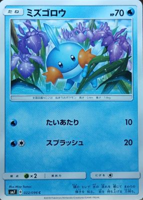2018 Japanese Sun & Moon: Sky-Splitting Charisma #022/096 Base