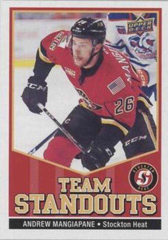 2017 Upper Deck AHL #TS-24 AHL Team Standouts