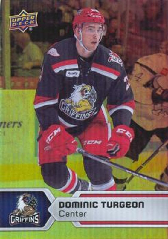 2017 Upper Deck AHL #62 Rainbow Foil