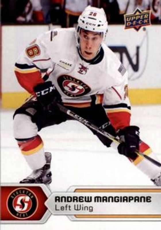 2017 Upper Deck AHL #133 Base