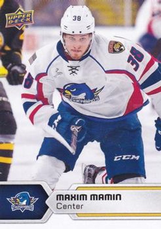 2017 Upper Deck AHL #91 Base