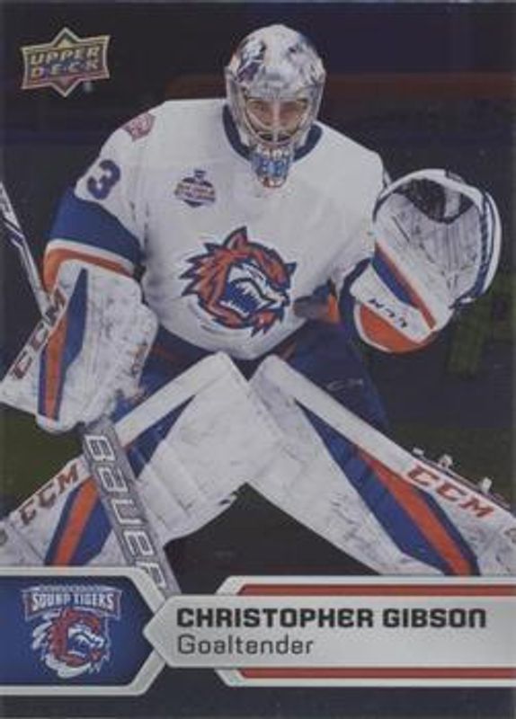 2017 Upper Deck AHL #88 Silver Foil