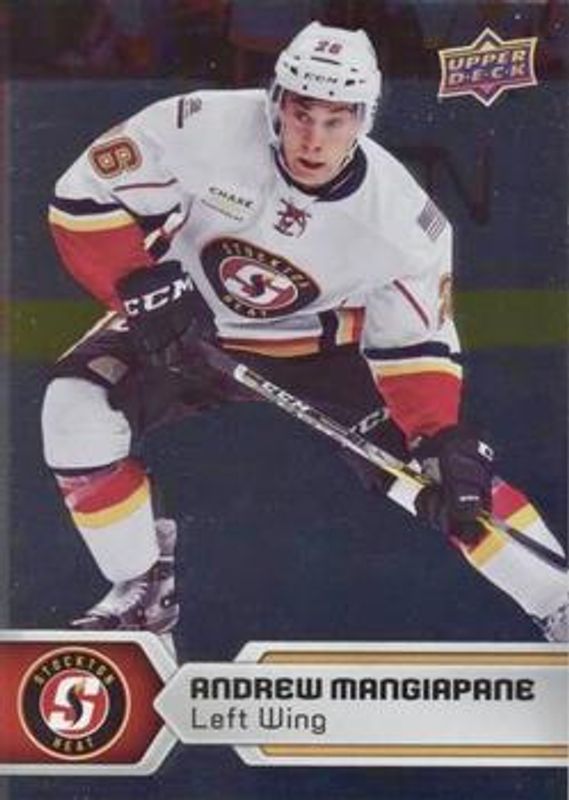 2017 Upper Deck AHL #133 Silver Foil