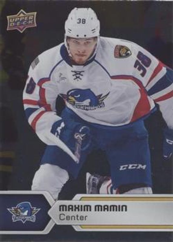 2017 Upper Deck AHL #91 Silver Foil