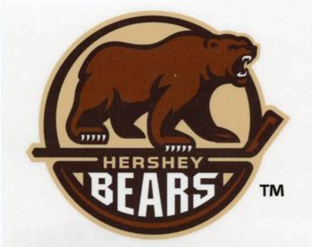 2016 Upper Deck AHL Wordmark Logo Window Cling Box Topper
