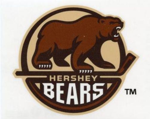 2016 Upper Deck AHL Wordmark Logo Window Cling Box Topper