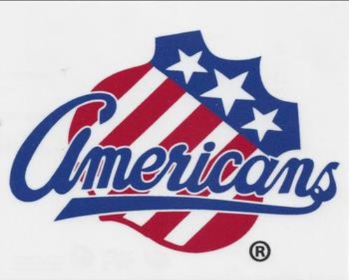 2016 Upper Deck AHL Wordmark Logo Window Cling Box Topper